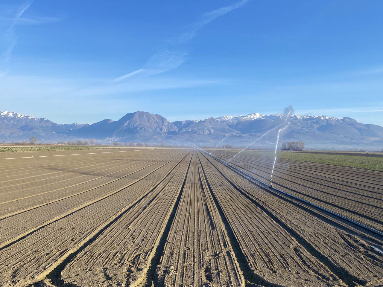 Azienda%20Agricola%20Panfili
