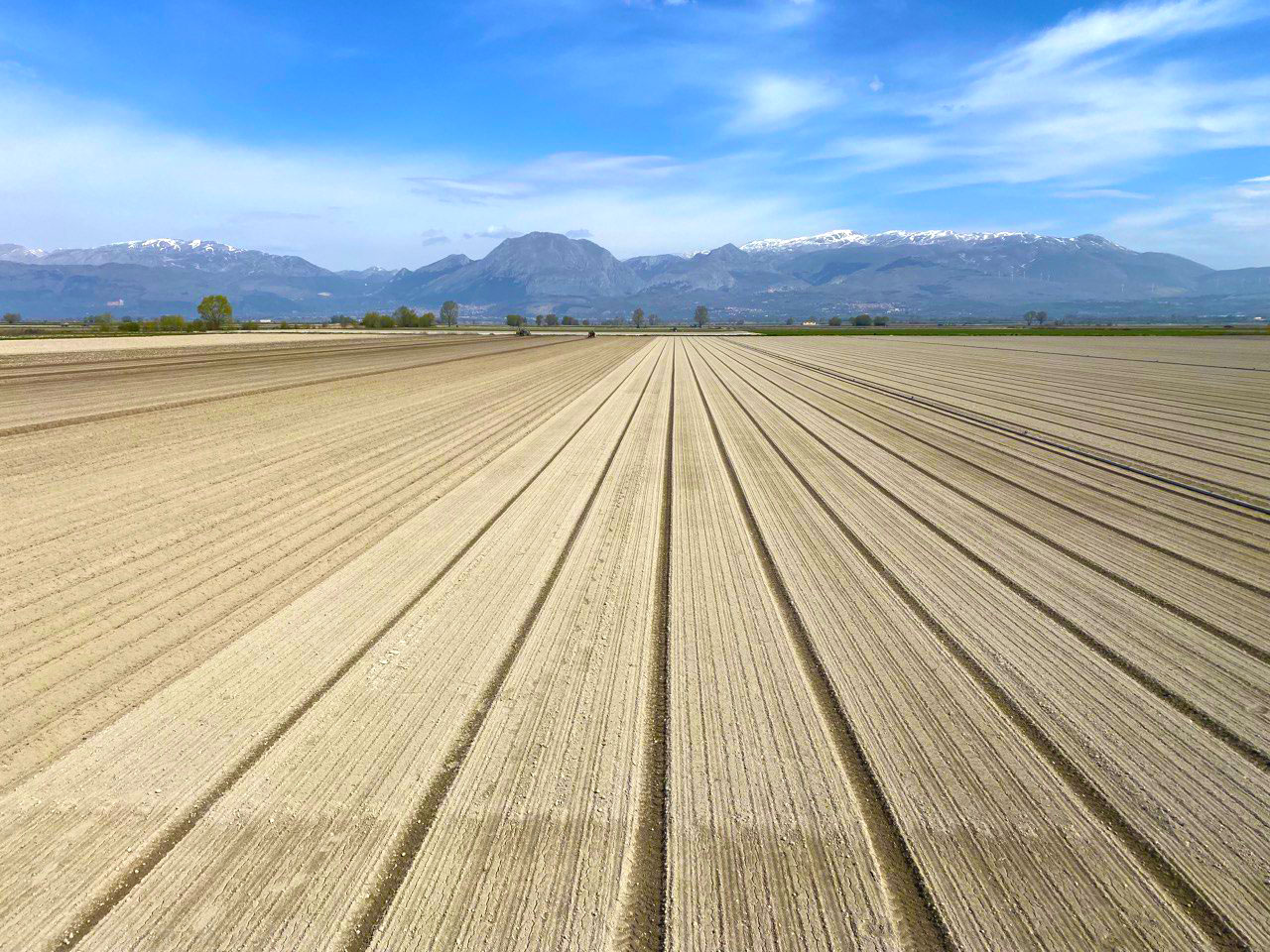 Azienda%20Agricola%20Panfili